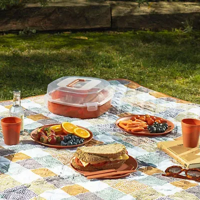 Picnic