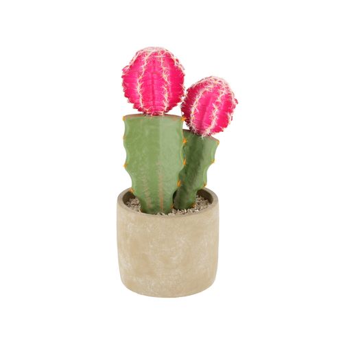 Maceta Cactus Alto L