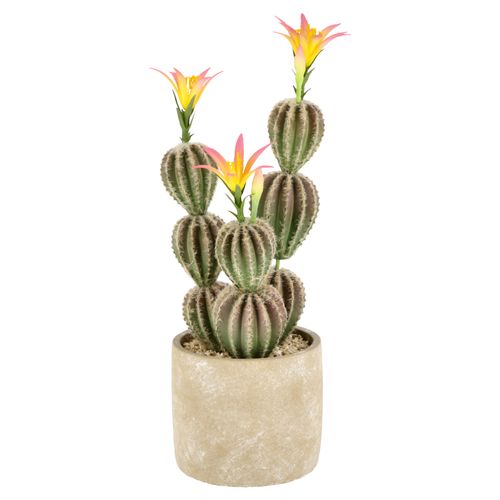 Maceta Cactus Alto L