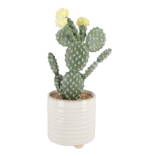 Maceta Cactus Diseño 15x30 cm