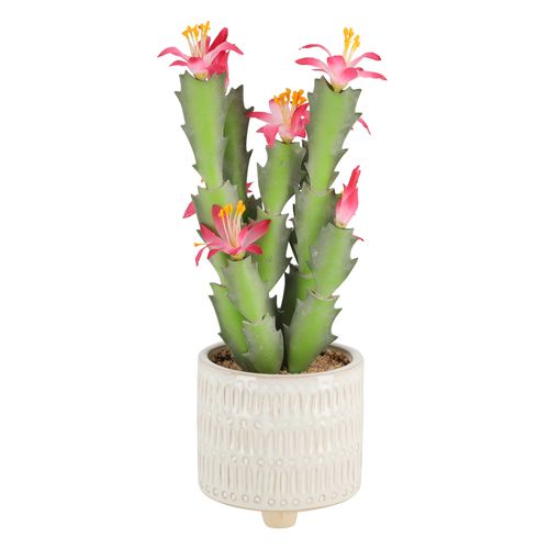 Maceta Cactus Diseño 15x32 cm