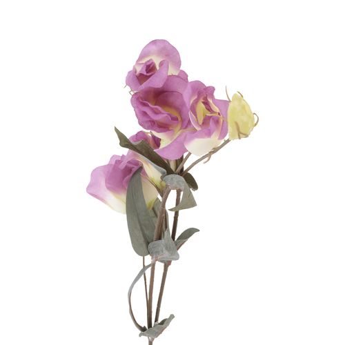 Rama Flor Campana 64 cm
