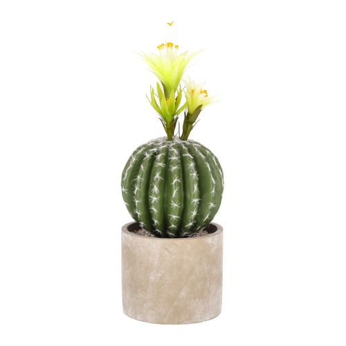 Maceta Fibra Cactus