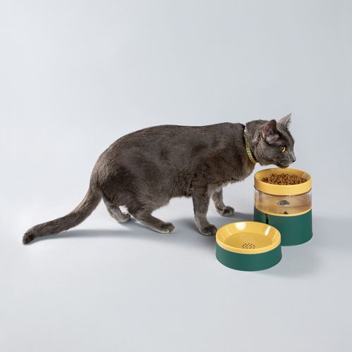 Plato de Comida con Bebedero para Gato