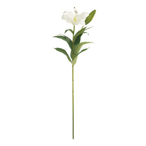 Flor Lilium 12x10x88 cm