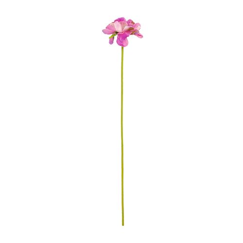 Flor Silvestre 10x51 cm