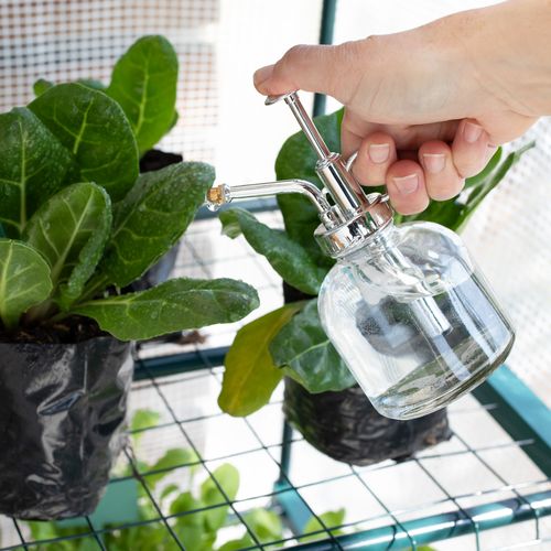 Rociador de Plantas Vidrio 220 ml