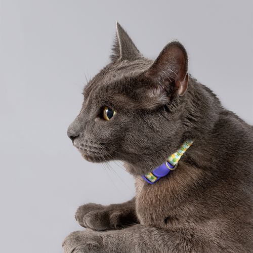 Collar de gato Ajustable para mascota