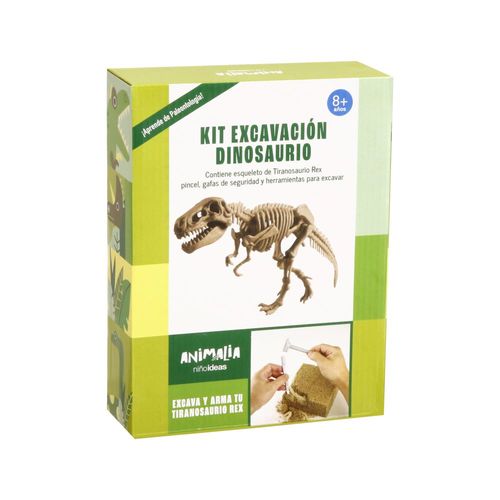 Set Excavación Dinosaurio