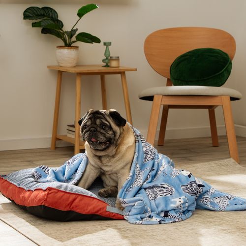 Manta Abrigo para Mascota