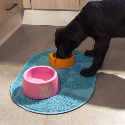 Plato para Mascota