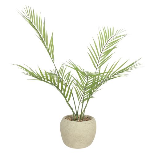 Maceta Concreto Planta