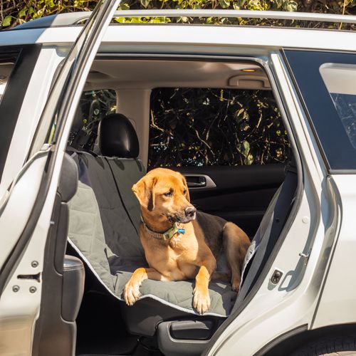 Cubre Asiento de Mascota para Automovil