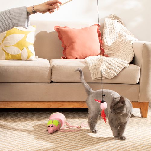 Juguete Rascador para gato