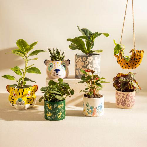 Maceta de Cerámica con Diseño Floral