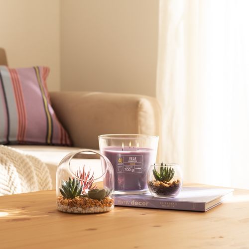 Terrario de Vidrio con Cactus 13x12 cm 13x12 cm 13x12 cm