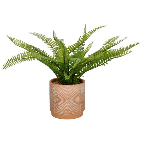 Maceta con Helecho Decorativo