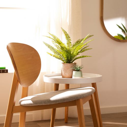 Maceta con Helecho Decorativo