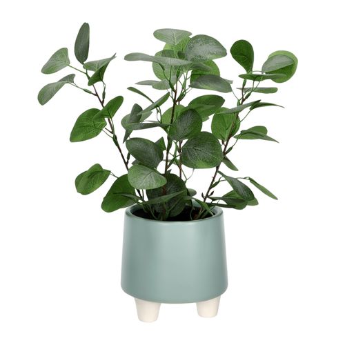 Maceta Cerámica con Planta Decorativa
