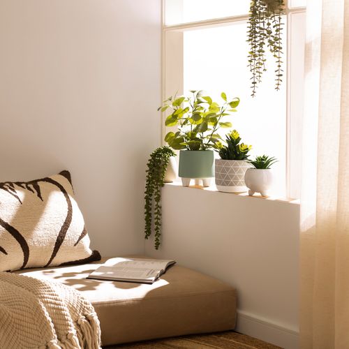 Maceta Cerámica con Planta Decorativa