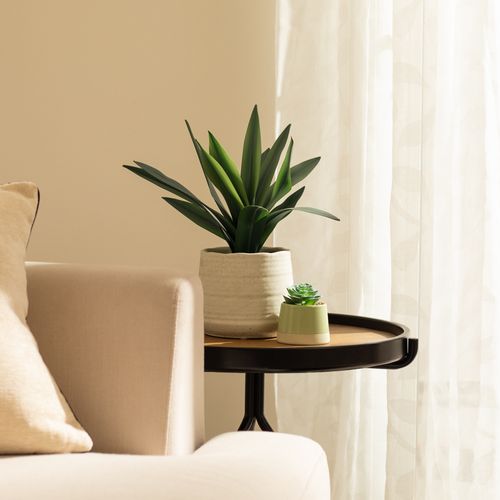 Maceta Cerámica Planta