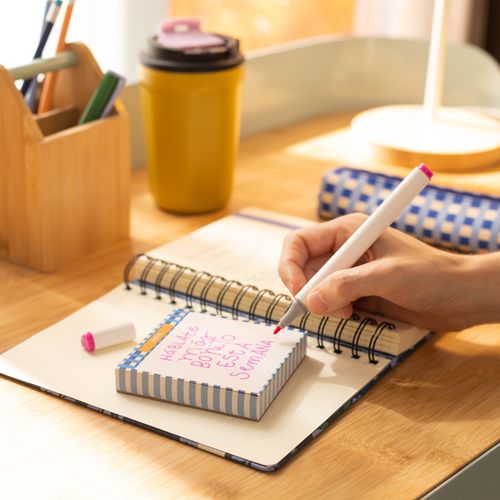 Set Notas Adhesivas para Apuntes