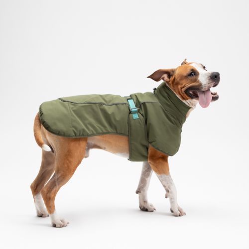 Chaqueta Impermeable para Mascota