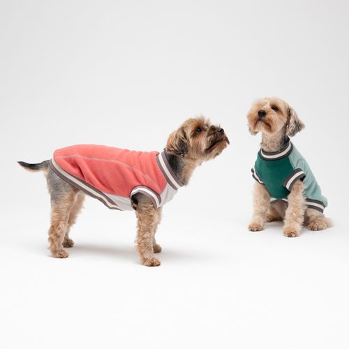 Chaleco para Mascota Color