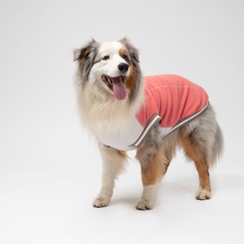 Chaleco para Mascota Color