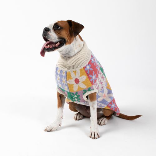 Chaleco Tejido para Mascota con Diseño