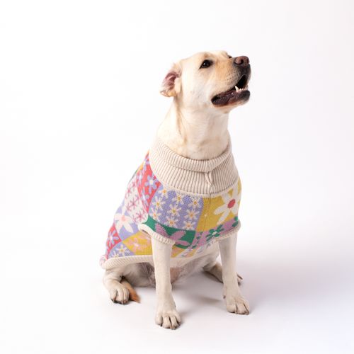Chaleco Tejido para Mascota con Diseño