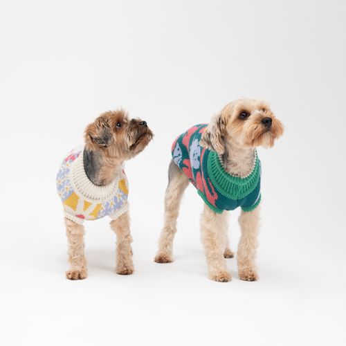 Chaleco Tejido para Mascota con Diseño