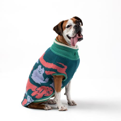 Chaleco Tejido para Mascota con Diseño