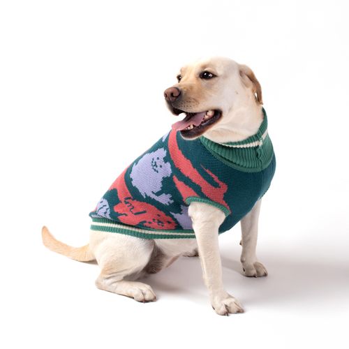 Chaleco Tejido para Mascota con Diseño