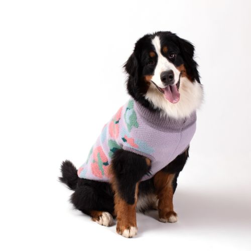 Chaleco Tejido para Mascota con Diseño