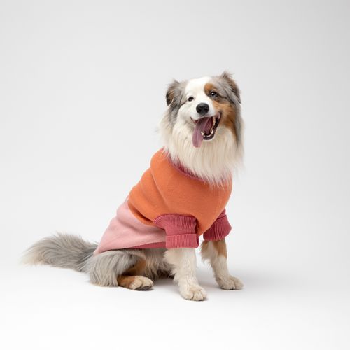 Chaleco Tejido para Mascota con Diseño