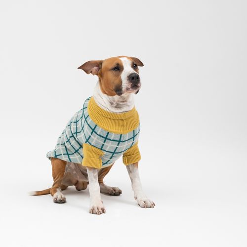 Chaleco Tejido para Mascota con Diseño