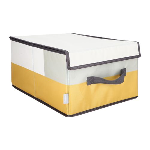 Caja Organizadora con Tapa para Clóset 28x36x19 cm