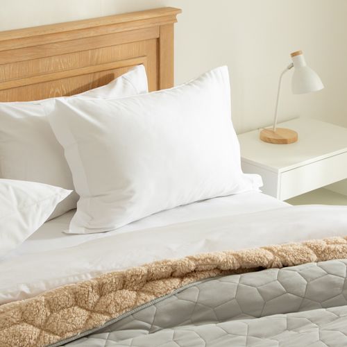 Funda Almohada Algodón satín 240 Hilos