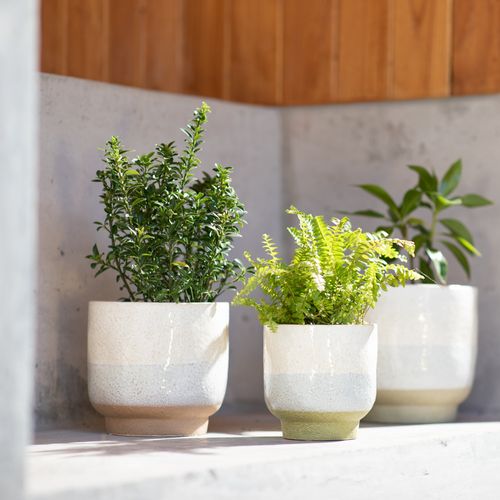 Maceta de Cerámica Crudo