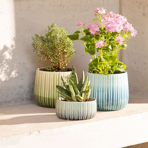 Maceta de Cerámica Textura Color