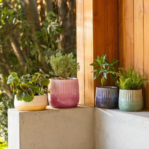 Maceta de Céramica Textura Color