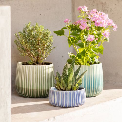 Maceta de Céramica Textura Color