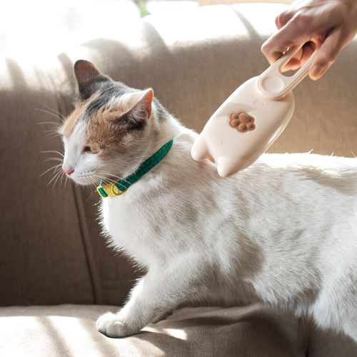 Collar Ajustable con Diseño para Gatos