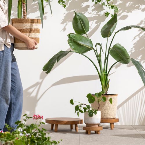 Base para Maceta de Madera