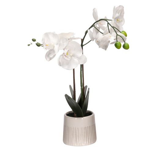 Maceta Flor Orquídea 15 x 53 cm