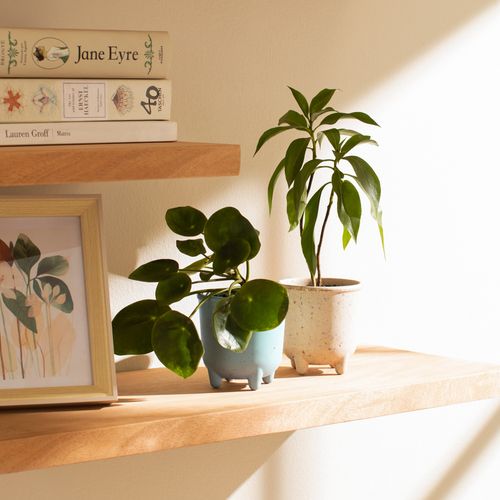 Maceta de Fibra y Bambu con patas