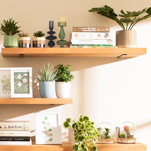 Terrario de Vidrio Cactus 13 x 12 cm