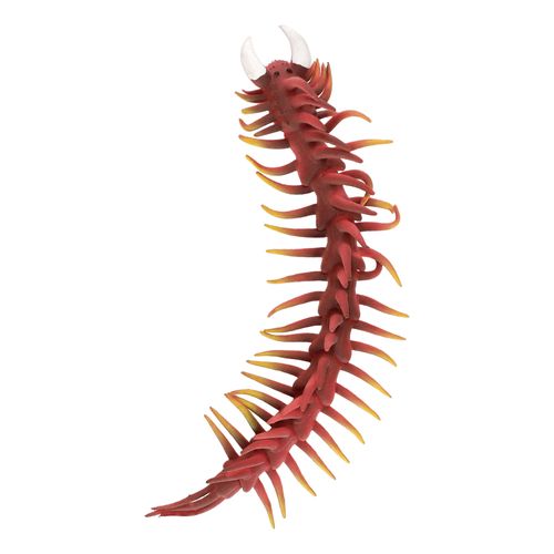 Ciempies Apretable Cambiacolor