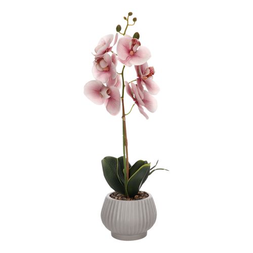 Maceta Flor Orquídea M 15 x 40 cm